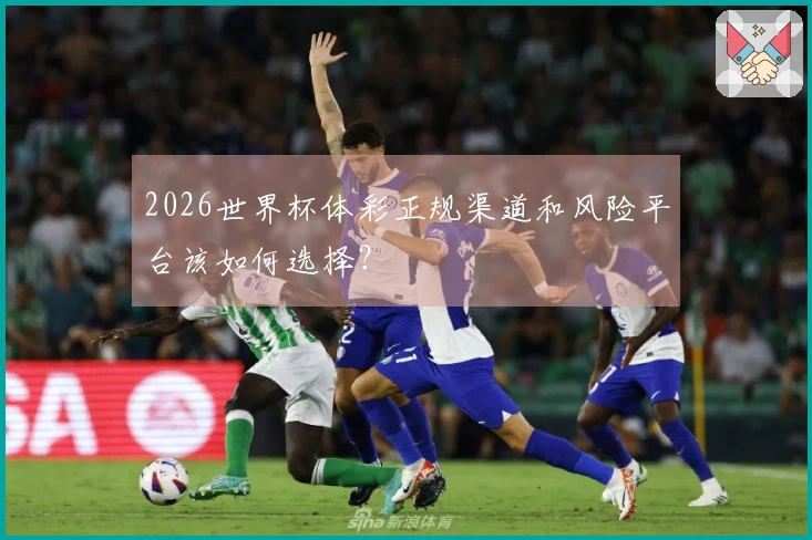 2026世界杯体彩正规渠道和风险平台该如何选择？