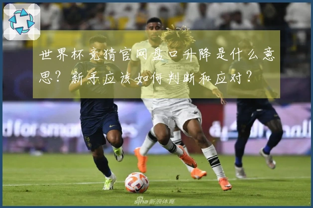 世界杯竞猜官网盘口升降是什么意思？新手应该如何判断和应对？
