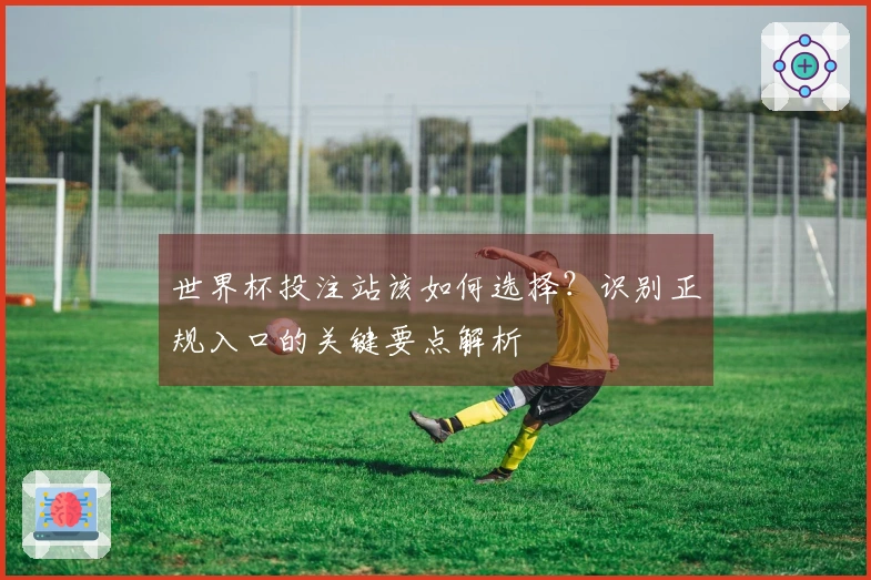 世界杯投注站该如何选择？识别正规入口的关键要点解析