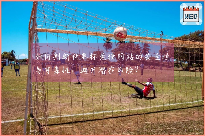 如何判断世界杯竞猜网站的安全性与可靠性，避开潜在风险？