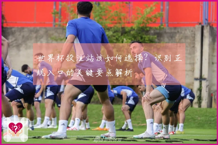 世界杯投注站该如何选择？识别正规入口的关键要点解析