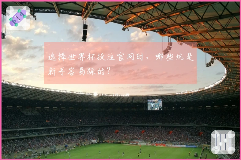 选择世界杯投注官网时，哪些坑是新手容易踩的？