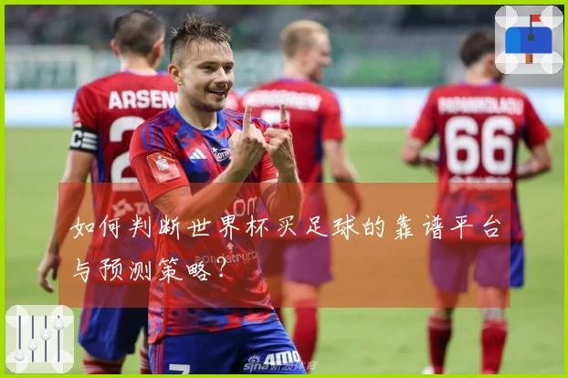 如何判断世界杯买足球的靠谱平台与预测策略？