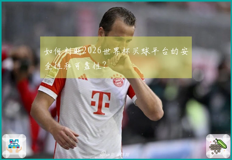 如何判断2026世界杯买球平台的安全性和可靠性？