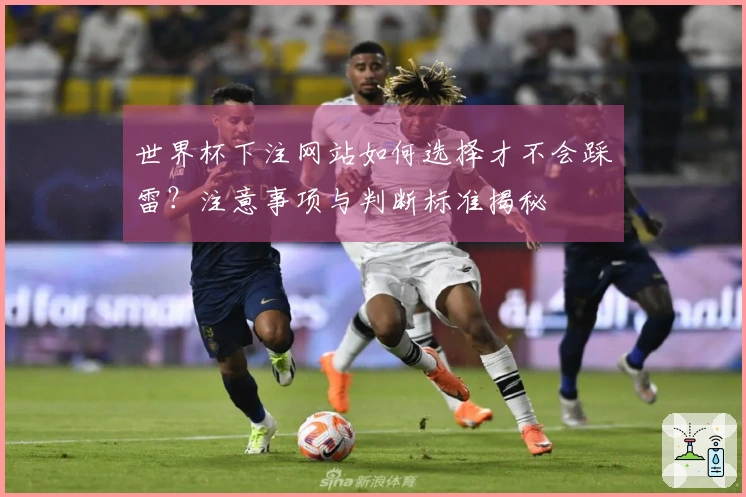 世界杯下注网站如何选择才不会踩雷？注意事项与判断标准揭秘