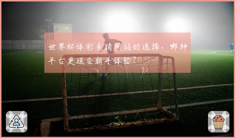 世界杯体彩竞猜网站的选择，哪种平台更适合新手体验？