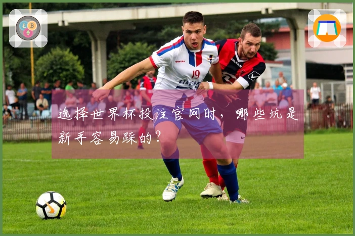 选择世界杯投注官网时，哪些坑是新手容易踩的？