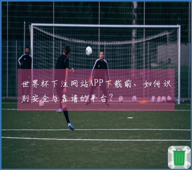 世界杯下注网站APP下载前，如何识别安全与靠谱的平台？