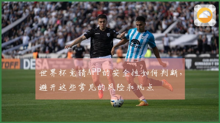 世界杯竞猜APP的安全性如何判断，避开这些常见的风险和坑点
