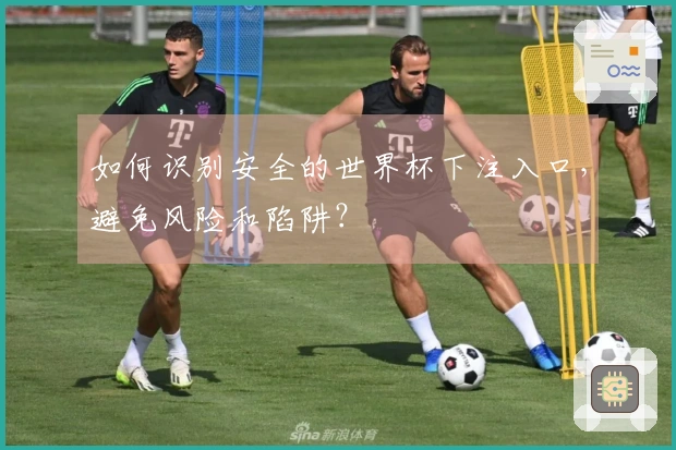 如何识别安全的世界杯下注入口，避免风险和陷阱？