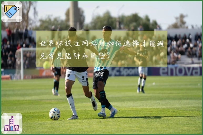 世界杯投注网站该如何选择才能避免常见陷阱和风险？