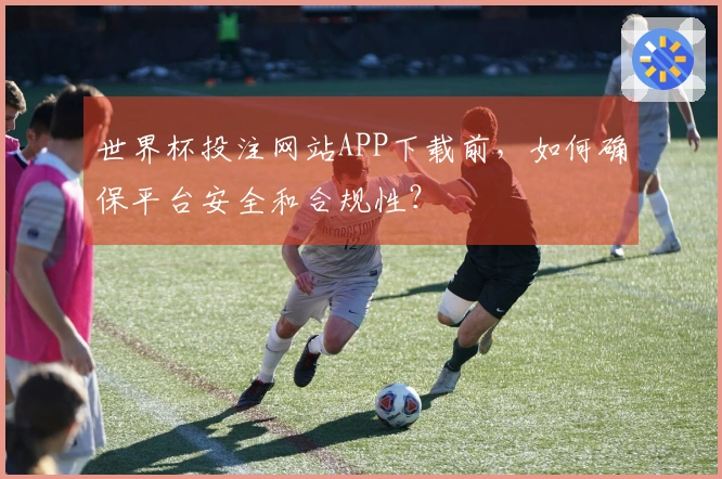 世界杯投注网站APP下载前，如何确保平台安全和合规性？