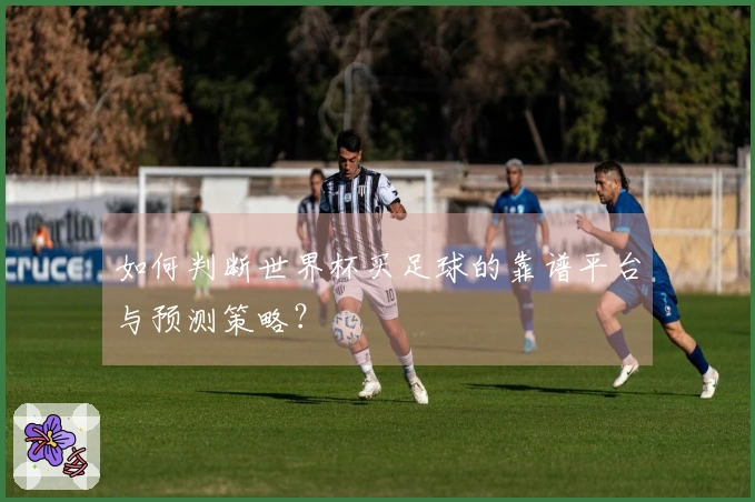 如何判断世界杯买足球的靠谱平台与预测策略？