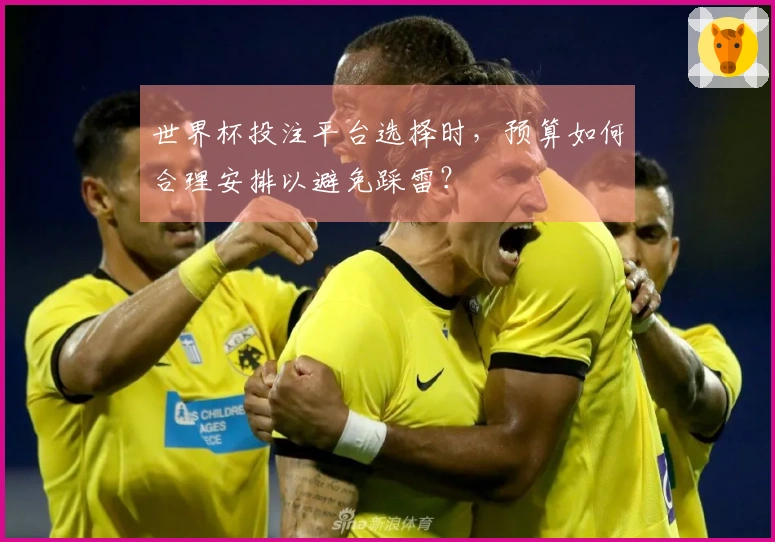 世界杯投注平台选择时，预算如何合理安排以避免踩雷？