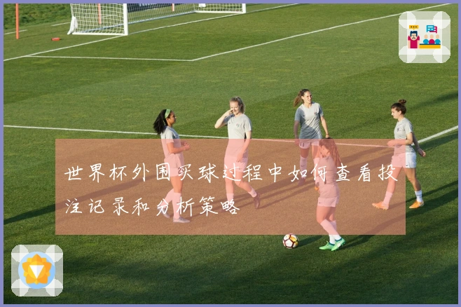 世界杯外围买球过程中如何查看投注记录和分析策略