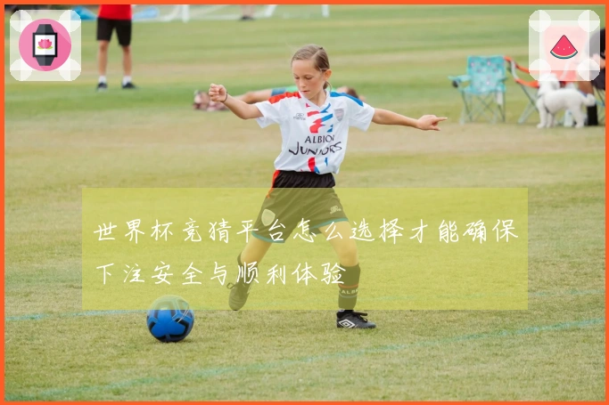 世界杯竞猜平台怎么选择才能确保下注安全与顺利体验