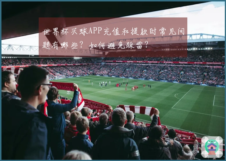 世界杯买球APP充值和提款时常见问题有哪些？如何避免踩雷？