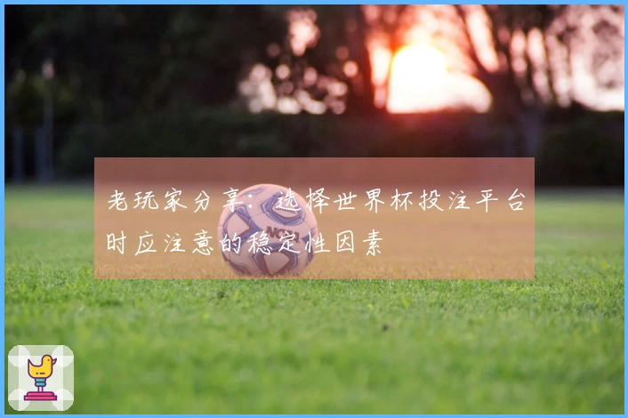 老玩家分享：选择世界杯投注平台时应注意的稳定性因素