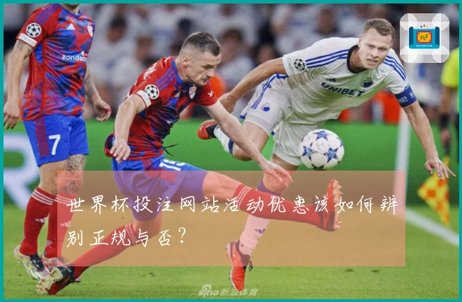世界杯投注网站活动优惠该如何辨别正规与否？