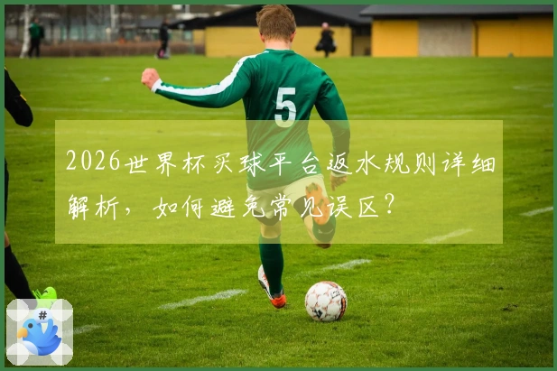 2026世界杯买球平台返水规则详细解析，如何避免常见误区？