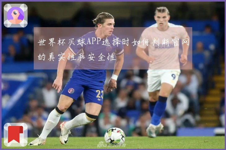 世界杯买球APP选择时如何判断官网的真实性和安全性