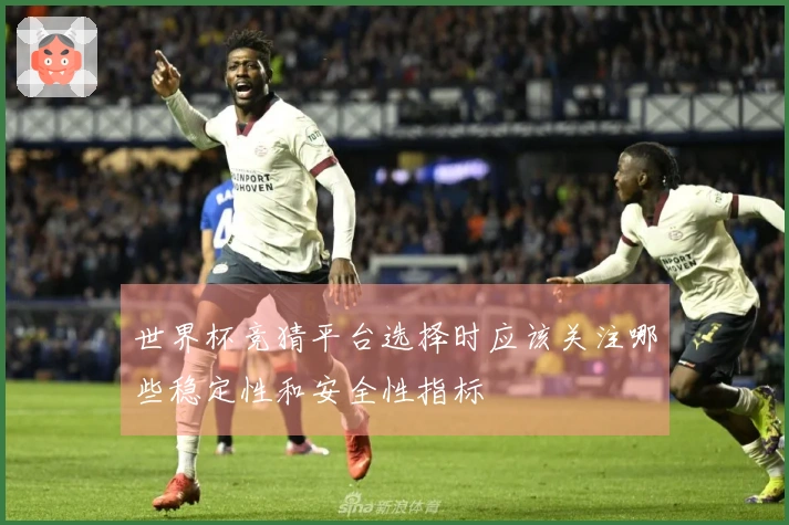 世界杯竞猜平台选择时应该关注哪些稳定性和安全性指标